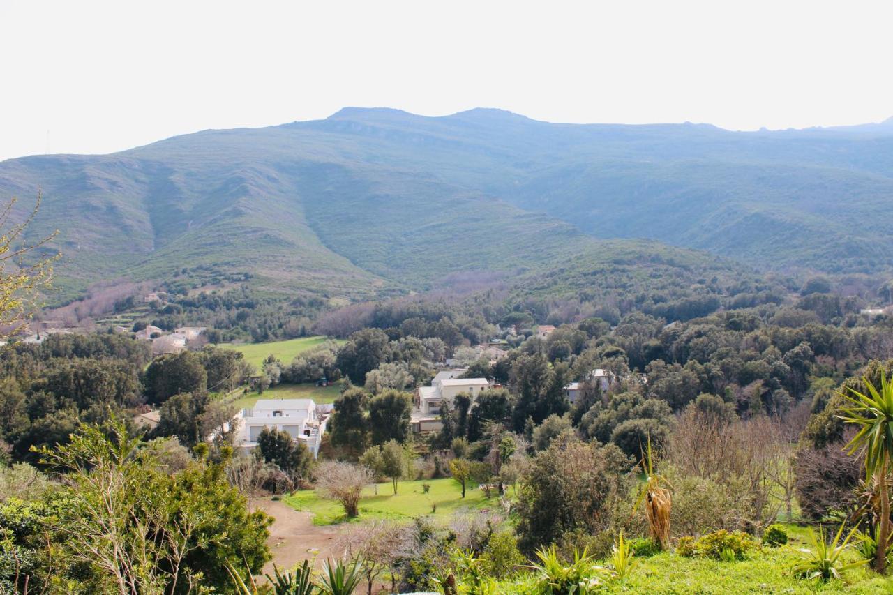 Apartment I Bugni