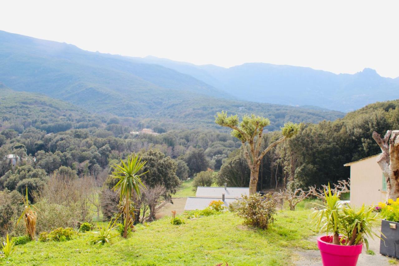 I Bugni Apartamento *